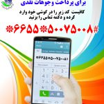 کد ussd  موسسه خیریه امام زمان عج برای پرداخت وجوهات نقدی