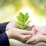 خیر گرانقدر سرکار خانم محدثه پاسدار