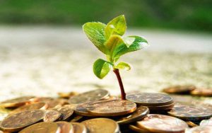 تقدیر و تشکر از آقای علیه آیینه دار