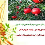 جناب آقای دکتر حسین سعید زاده خیر نیک اندیش | موسسه خیریه امام زمان