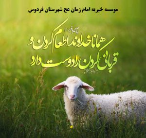 ذبح 30 راس گوسفند ، موسسه خیریه امام زمان