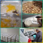 توزیع ۳۴۱ پرس غذای گرم به مناسبت شهادت حضرت فاطمه زهرا (س) و هفته بسیج