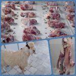 🐏 ذبح یک راس گوسفند به نیت علو درجات امام شهیدمان حضرت آیت الله العظمی امام خامنه ای و سلامتی و طول عمر با عزت رهبر فرزانه انقلاب اسلامی حضرت آیت الله سید مجتبی خامنه ای